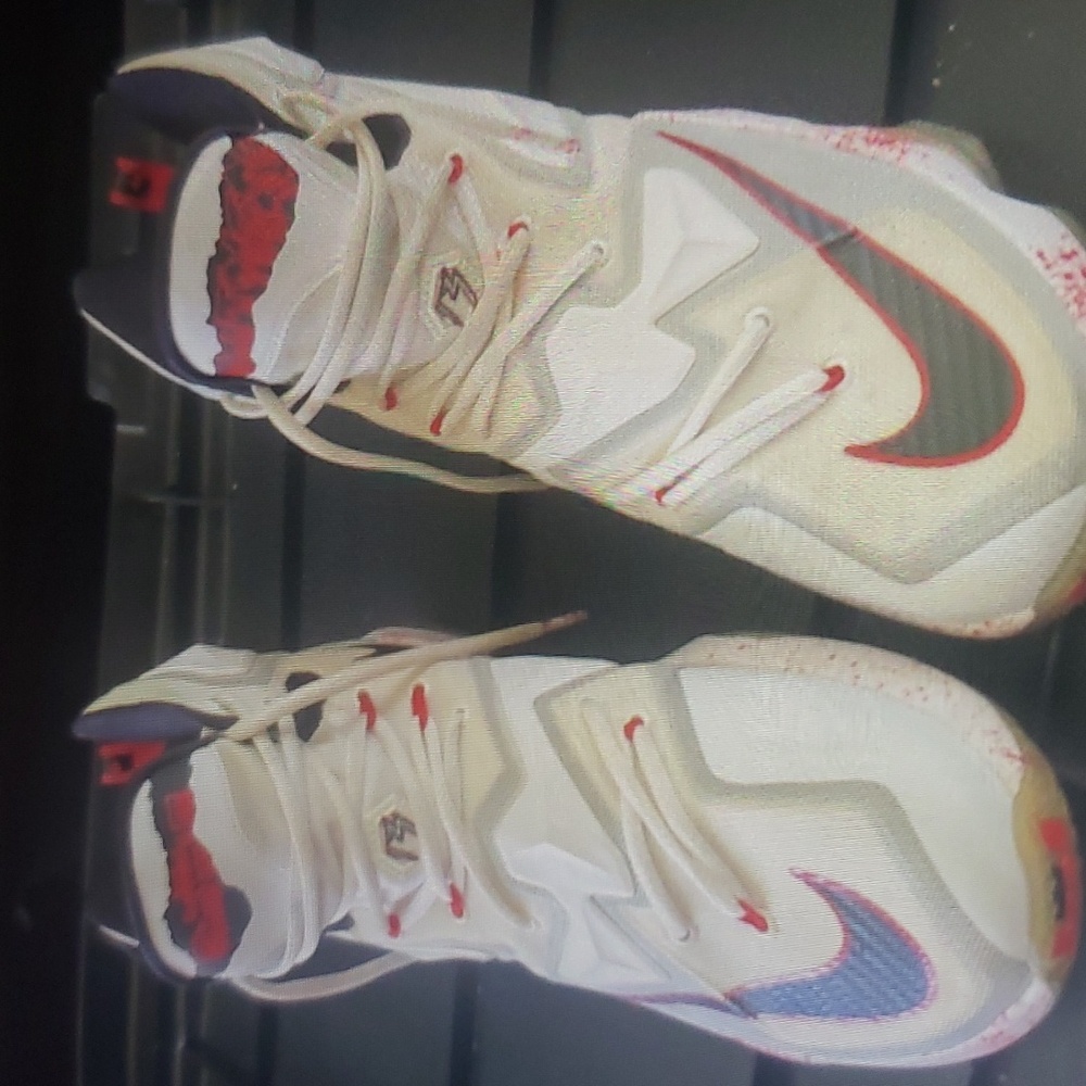 Lebron James shoes